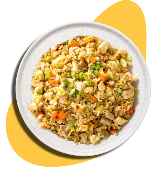 WOK-STYLE CHICKEN FRIED RICE